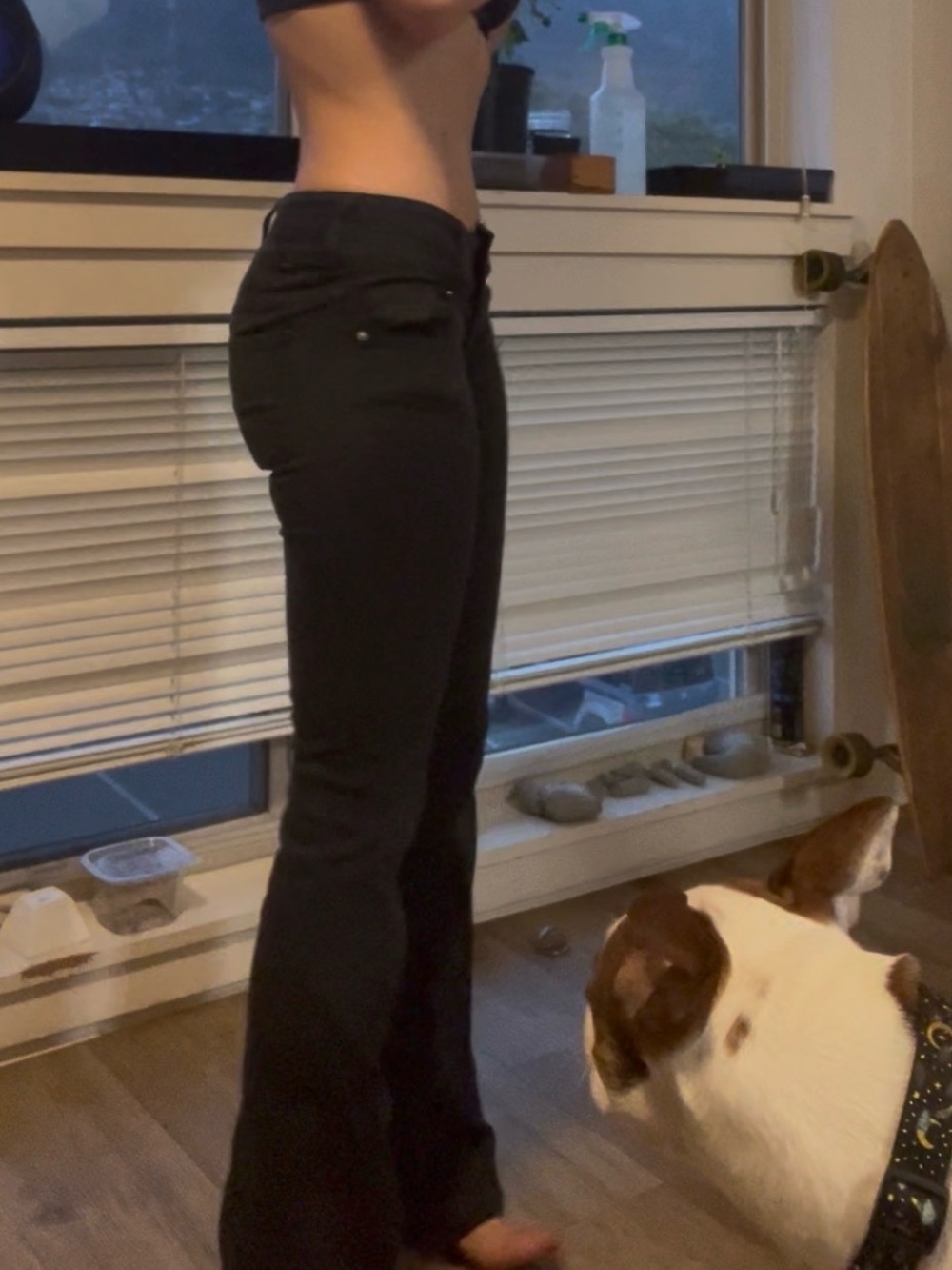 Pacsun - Picture 5 of 5